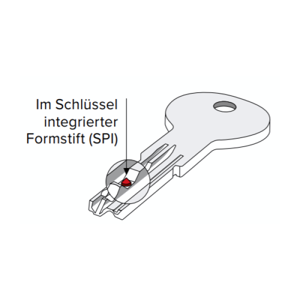 Ersatzschlüssel Iseo Zylinder System R6 SPI